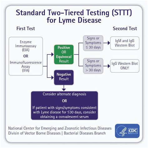 lyme tests hard to interperate|lyme disease test interpretation.